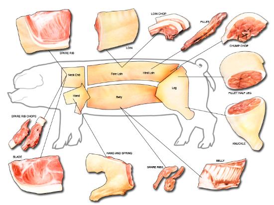 lp food pork cuts.jpg